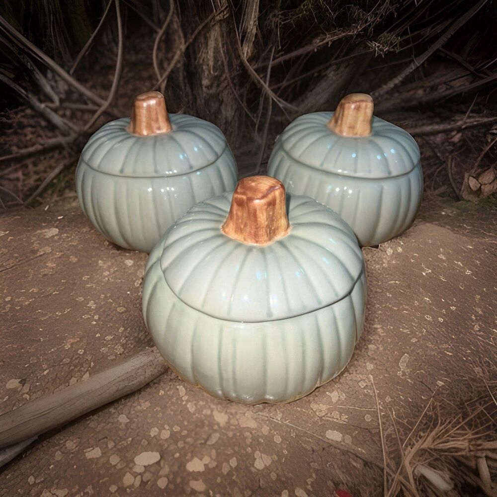Vintage Williams-Sonoma Pumpkin Soup Bowls with Lids Sage Green NEVER USED